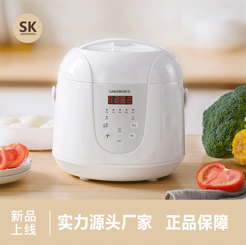 厂家智能预约迷你电饭煲全自动多功能2L家用小型电饭锅1-3人礼品