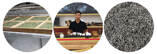 搜狗截图20年04月09日0230_3ytytyty.png