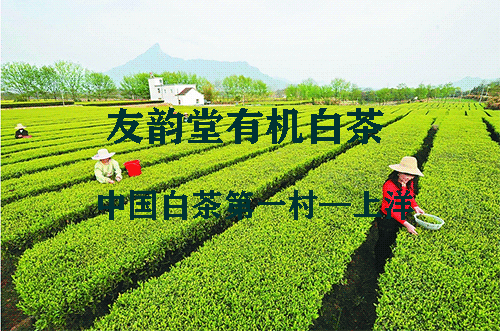 搜狗截图20年04月06日1249_11.png