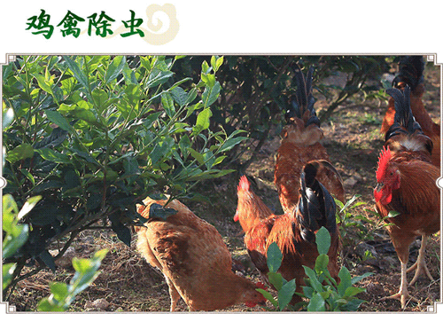 搜狗截图20年04月06日1240_2.png