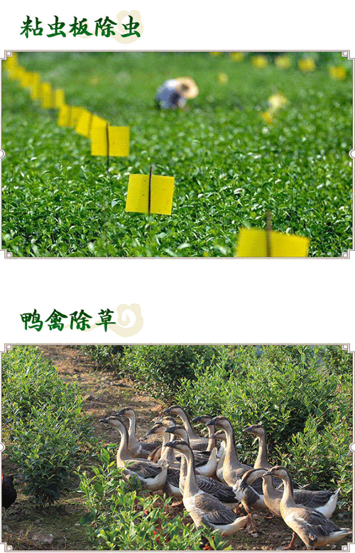 搜狗截图20年04月06日1242_5.png
