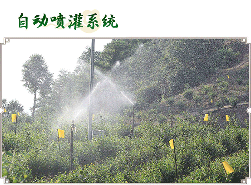 搜狗截图20年04月06日1243_7.png