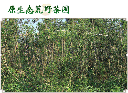 搜狗截图20年04月06日1243_9.png