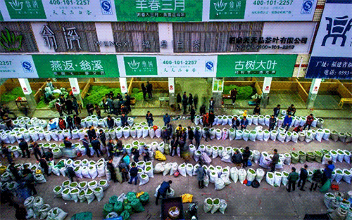 搜狗截图20年04月06日2355_14.png
