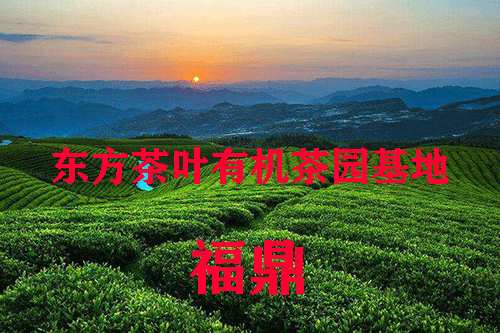 timg-(2)从许昌V.png